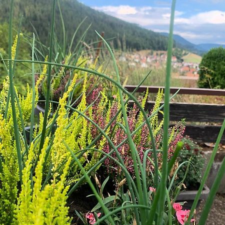 Appartement Mit Herrlicher Aussicht Uebers Murgtal Baiersbronn Kültér fotó