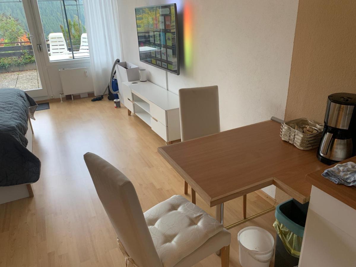 Appartement Mit Herrlicher Aussicht Uebers Murgtal Baiersbronn Kültér fotó