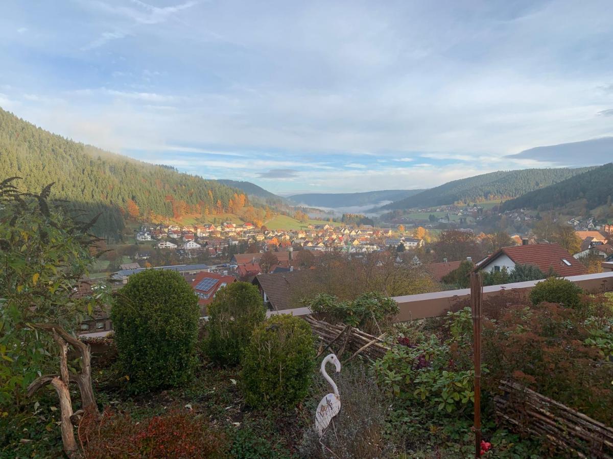 Appartement Mit Herrlicher Aussicht Uebers Murgtal Baiersbronn Kültér fotó
