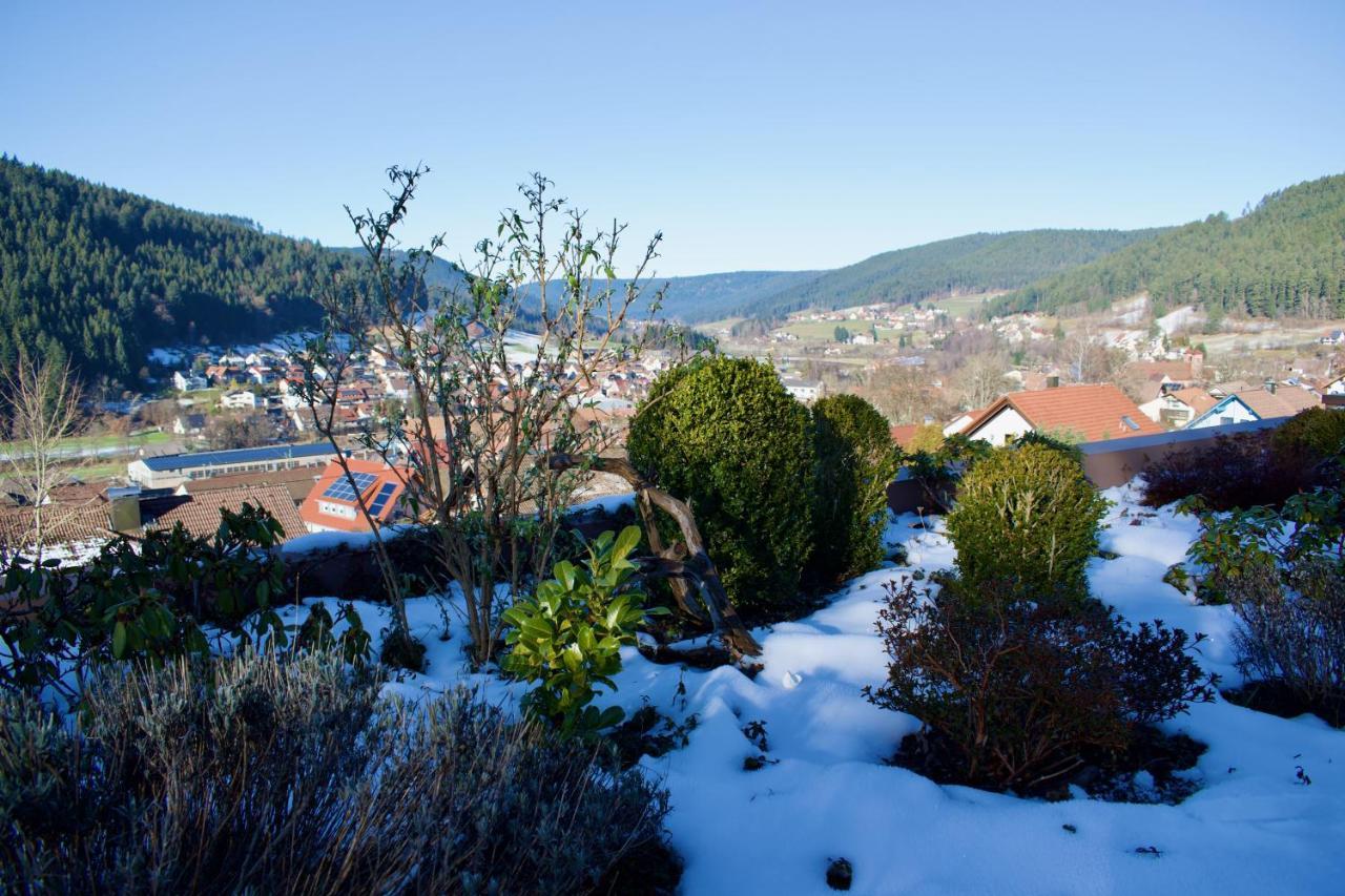Appartement Mit Herrlicher Aussicht Uebers Murgtal Baiersbronn Kültér fotó