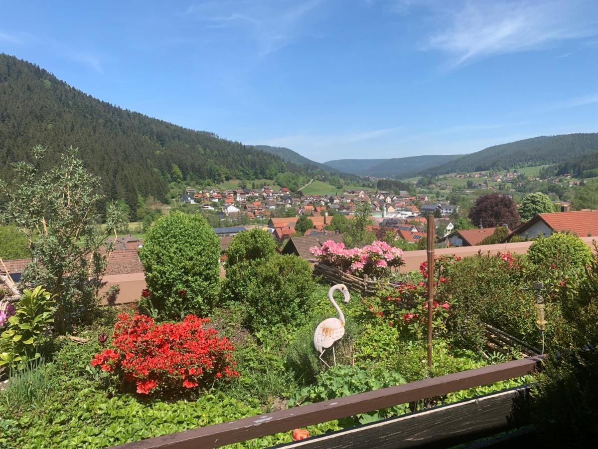 Appartement Mit Herrlicher Aussicht Uebers Murgtal Baiersbronn Kültér fotó