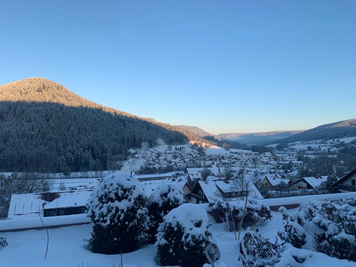 Appartement Mit Herrlicher Aussicht Uebers Murgtal Baiersbronn Kültér fotó